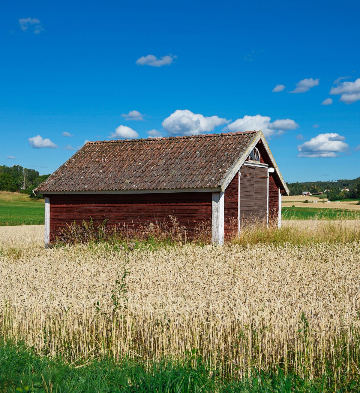 Farm & Agricultural Buildings detail - Springfield MO post-frame construction