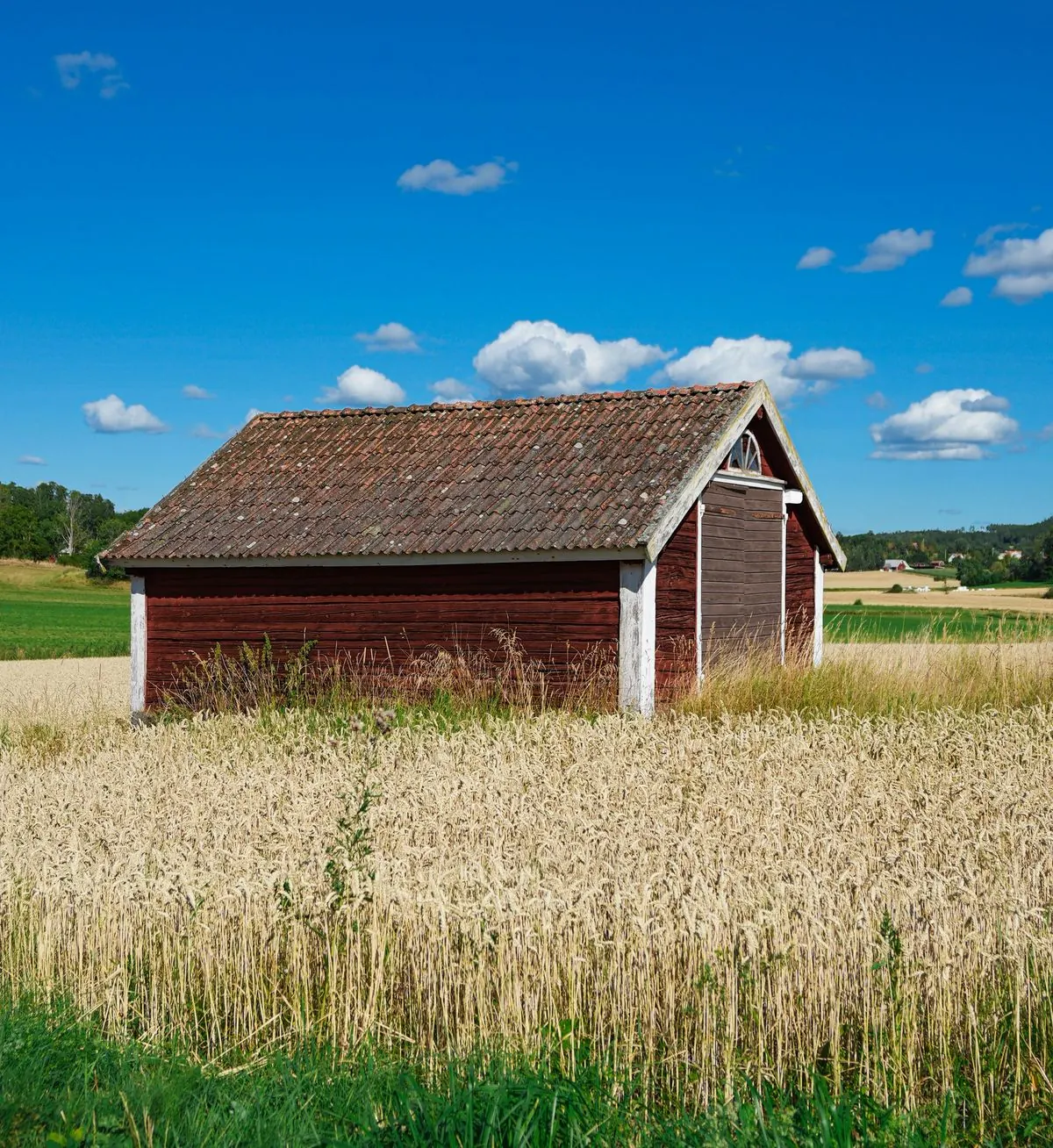 Farm & Agricultural Buildings detail - Springfield MO post-frame construction